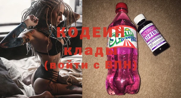 2c-b Бородино