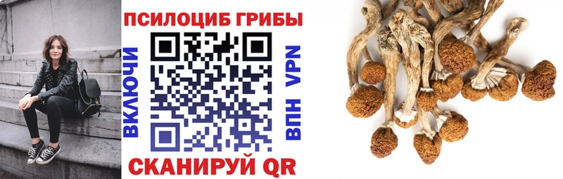 Галлюциногенные грибы GOLDEN TEACHER Лабытнанги